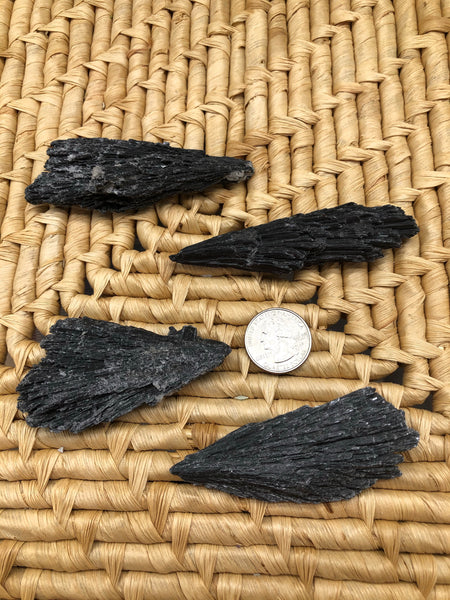 Black Kyanite Blades - The Pearl of Door County