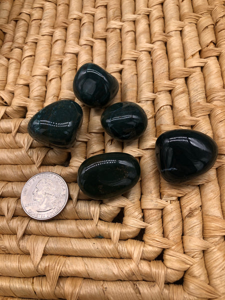 Polished Bloodstone - The Pearl of Door County