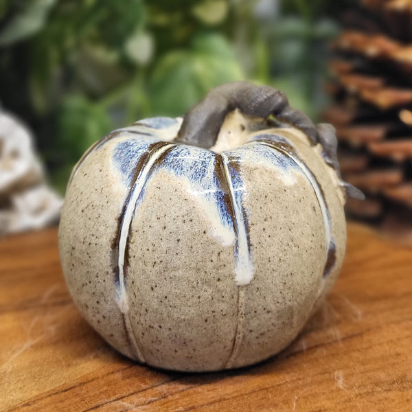 Small Tan & Blue Pumpkin by Liz Butler