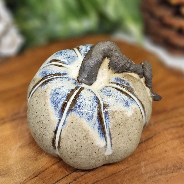 Small Tan & Blue Pumpkin by Liz Butler