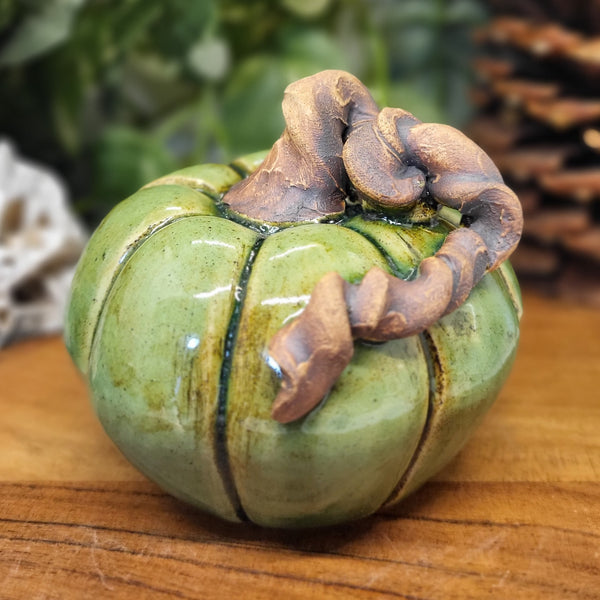 Small Green Pumpkin by Liz Butler