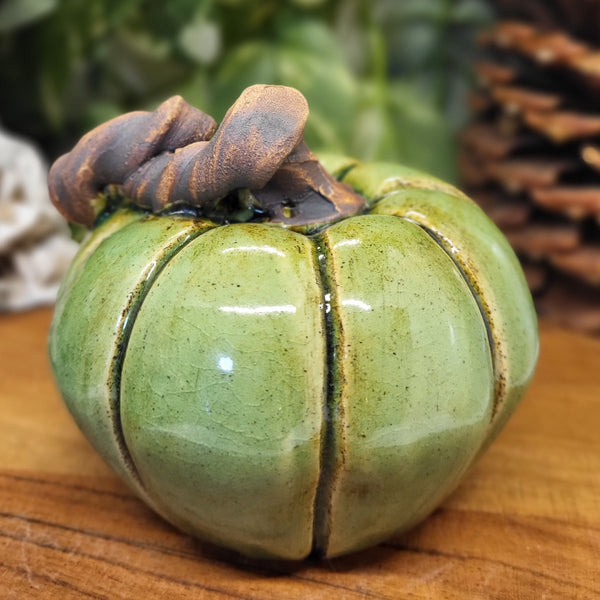 Small Green Pumpkin by Liz Butler