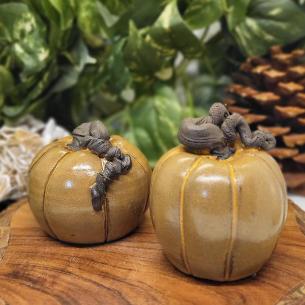 Small Umber Pumpkins by Liz Butler