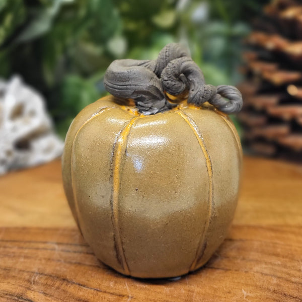 Small Umber Pumpkins by Liz Butler