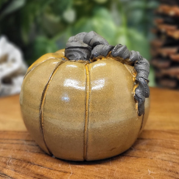 Small Umber Pumpkins by Liz Butler