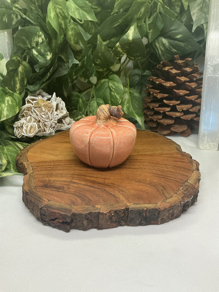 Soft Orange Pumpkins - Liz Butler