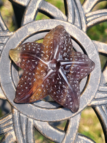 Fluorite Crystal Starfish