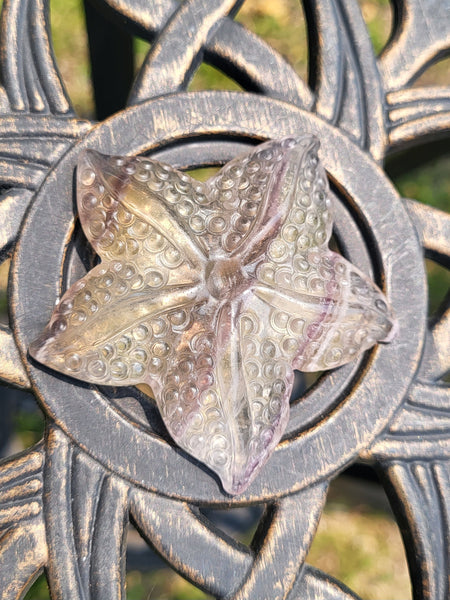 Fluorite Crystal Starfish