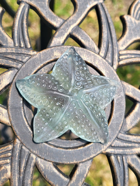 Fluorite Crystal Starfish