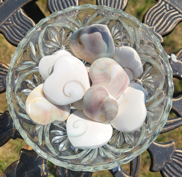 Shiva Shell Heart