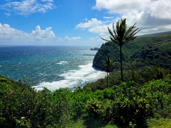 Mindful Adventure Hawai'i Retreat 2026 - Full Guided Week in Paradise - April 28-May 5