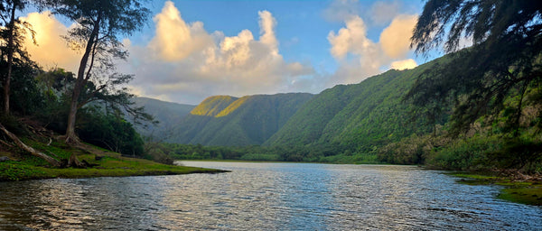 Mindful Adventure Hawai'i Retreat 2026 - Full Guided Week in Paradise - April 28-May 5