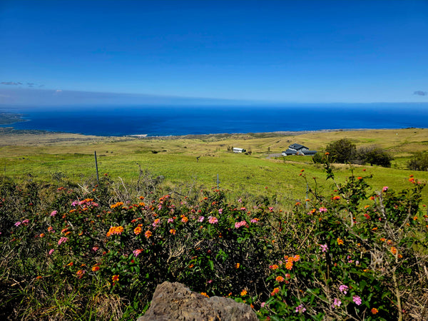 Mindful Adventure Hawai'i Retreat 2026 - Full Guided Week in Paradise - April 28-May 5