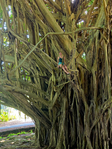 Mindful Adventure Hawai'i Retreat 2026 - Full Guided Week in Paradise - April 28-May 5