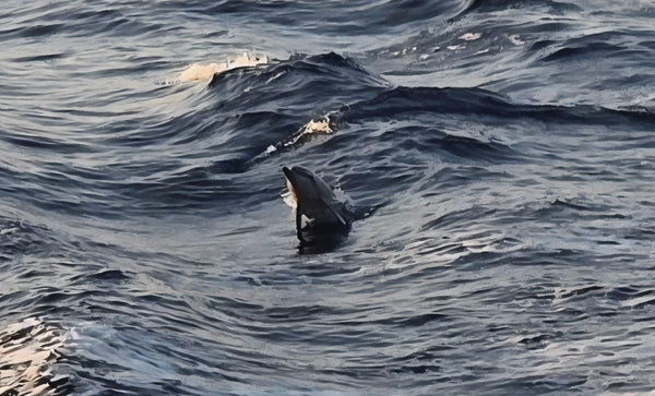 Mindful Adventure Hawai'i Retreat 2026 - Full Guided Week in Paradise - April 28-May 5