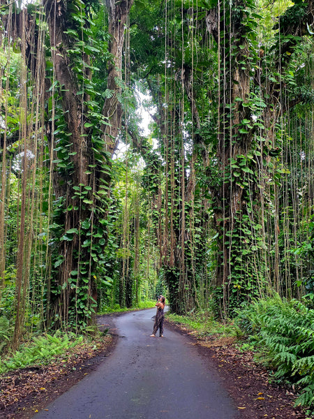 Mindful Adventure Hawai'i Retreat 2026 - Full Guided Week in Paradise - April 28-May 5