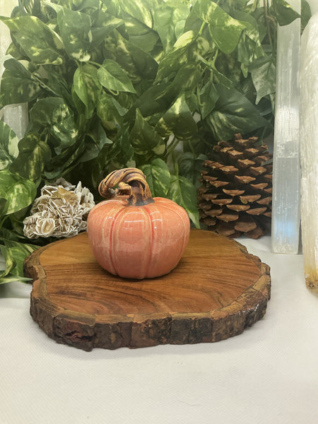 Soft Orange Pumpkins - Liz Butler