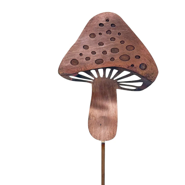 Copper Toadstool
