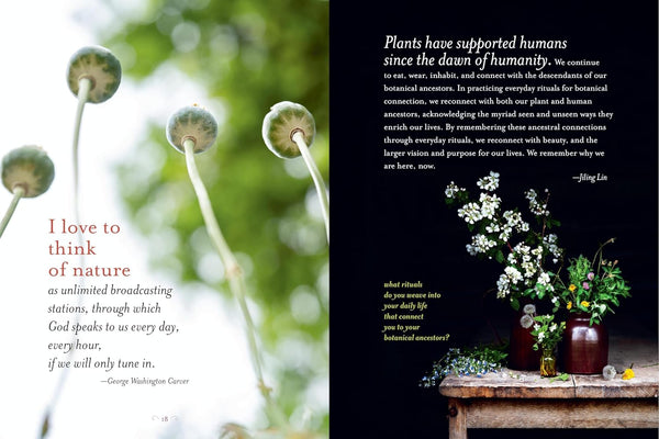 The Generosity of Plants: Shared Wisdom from the Community of Herb Lovers