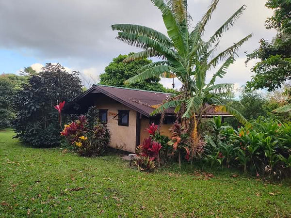 Mindful Adventure Hawai'i Retreat 2026 - Full Guided Week in Paradise - April 28-May 5