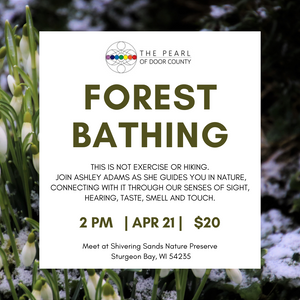 Forest Bathing with Ashley Adams, Sunday, April 21st, 2-3:30ish