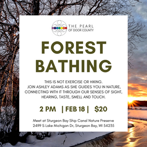 Forest Bathing with Ashley Adams, Sunday February 18th, 2-3:30ish