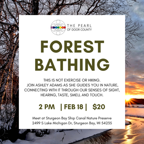 Forest Bathing with Ashley Adams, Sunday, March 17th, 2-3:30ish