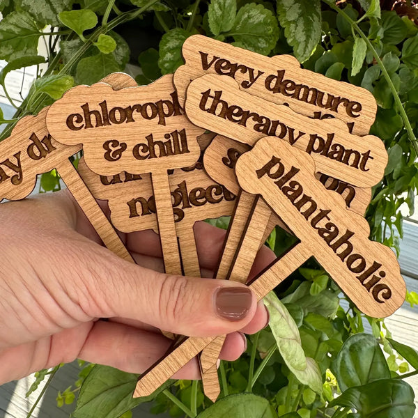 New Plant Sayings Word Bubbles Funny Plant Stakes