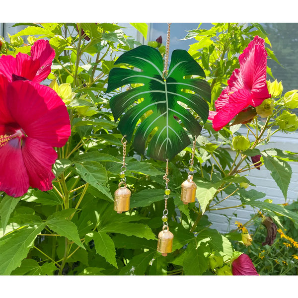 Monstera Chime