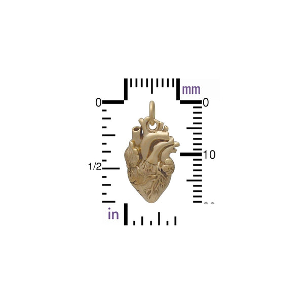Bronze Anatomical Heart Charm & Stainless Steel Chain