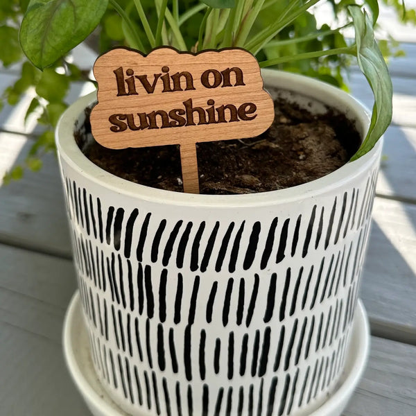 New Plant Sayings Word Bubbles Funny Plant Stakes