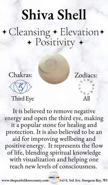 Shiva Shell Heart