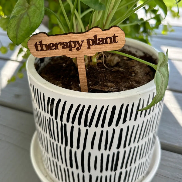 New Plant Sayings Word Bubbles Funny Plant Stakes