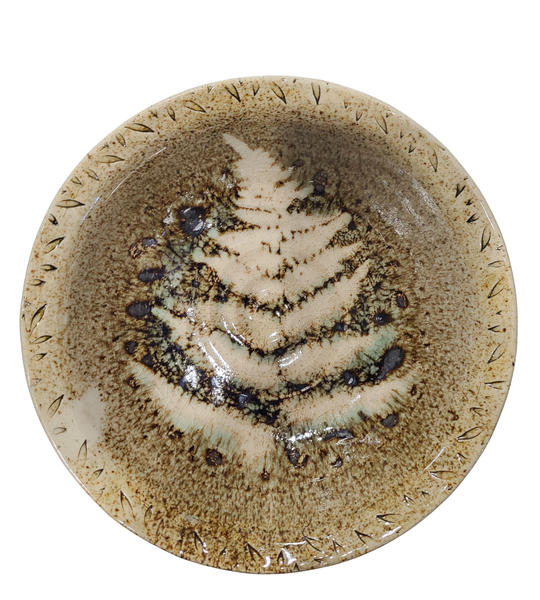 Fern dishes - Beige and Brown by Liz Butler