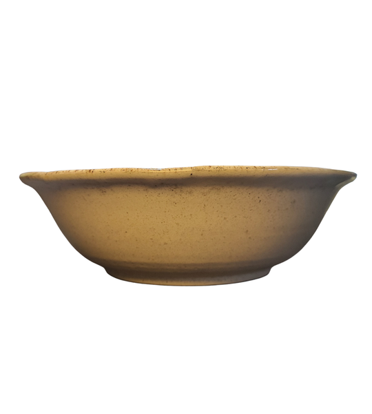 Fern dishes - Beige and Brown by Liz Butler