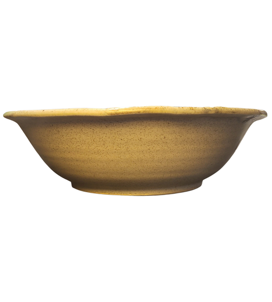 Fern dishes - Beige and Brown by Liz Butler