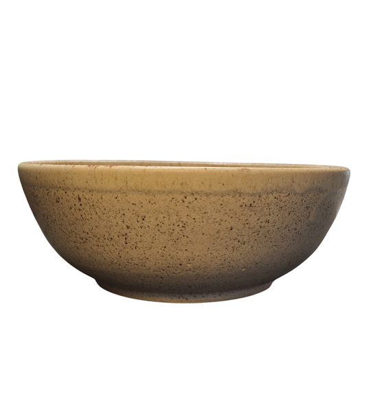 Fern Bowl - Beige and Brown by Liz Butler