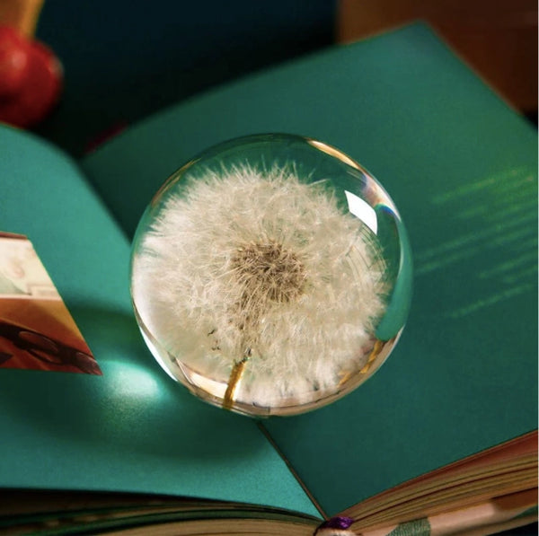 Real Dandelion Crystal Glass Resin Lens Ball with Woodstand