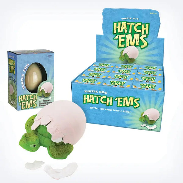 Turtle Eggs Hatch'ems