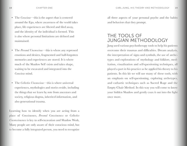 Carl Jung Shadow Work: Book & Card Deck
