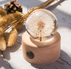 Real Dandelion Crystal Glass Resin Lens Ball with Woodstand