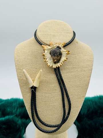 Buffalo Head Antler Bolo - Marcia Nickols Collection