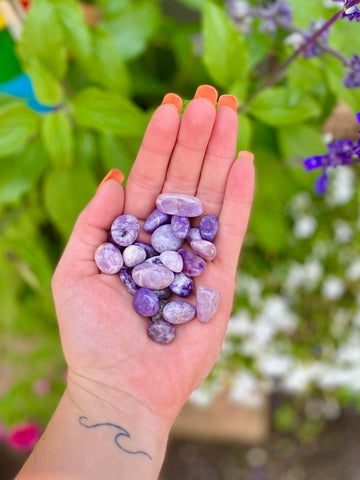 Polished Mini Lepidolite Tumbles