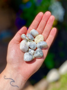 Polished Dendritic Opal Tumbles