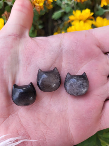 Silver Sheen Obsidian Cat Heads