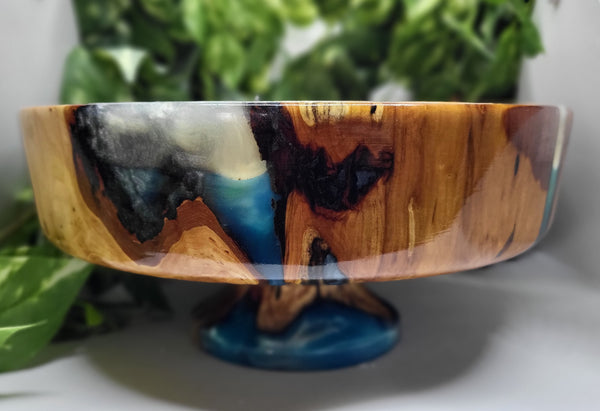 Pussy Willow & Blue Resin Pedestal Bowl by Ronald Bemmann