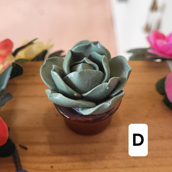 Handmade Miniature Ceramic Cactus & Succulent Figurines