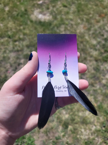 Black Coque Tail Feather Earrings W/ Turquoise Bead by Nikkie Howard Style 0293