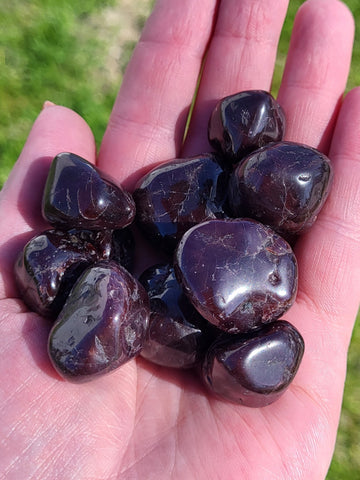 Garnet Tumbles