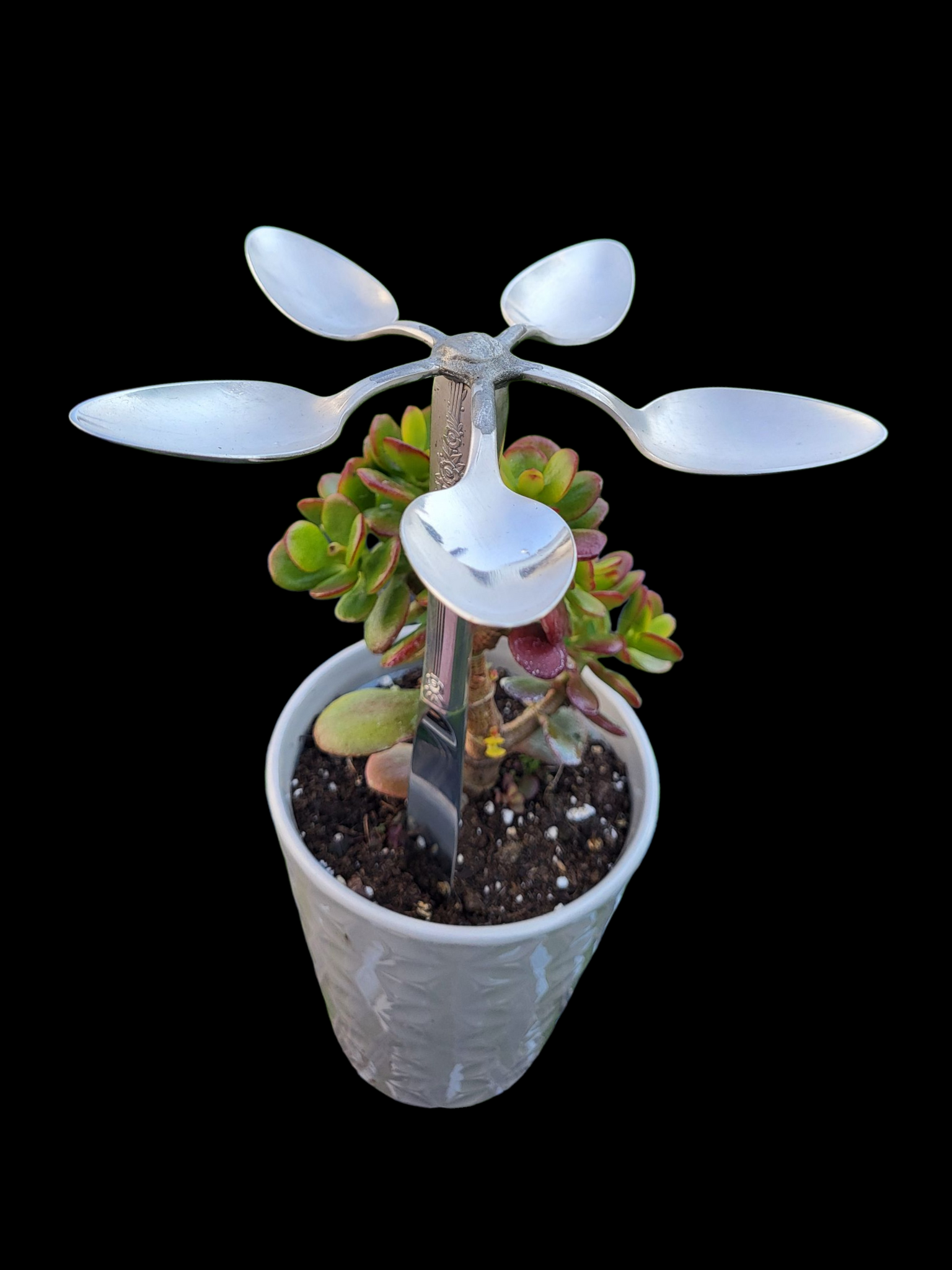 Spoon/Knife Garden Flower